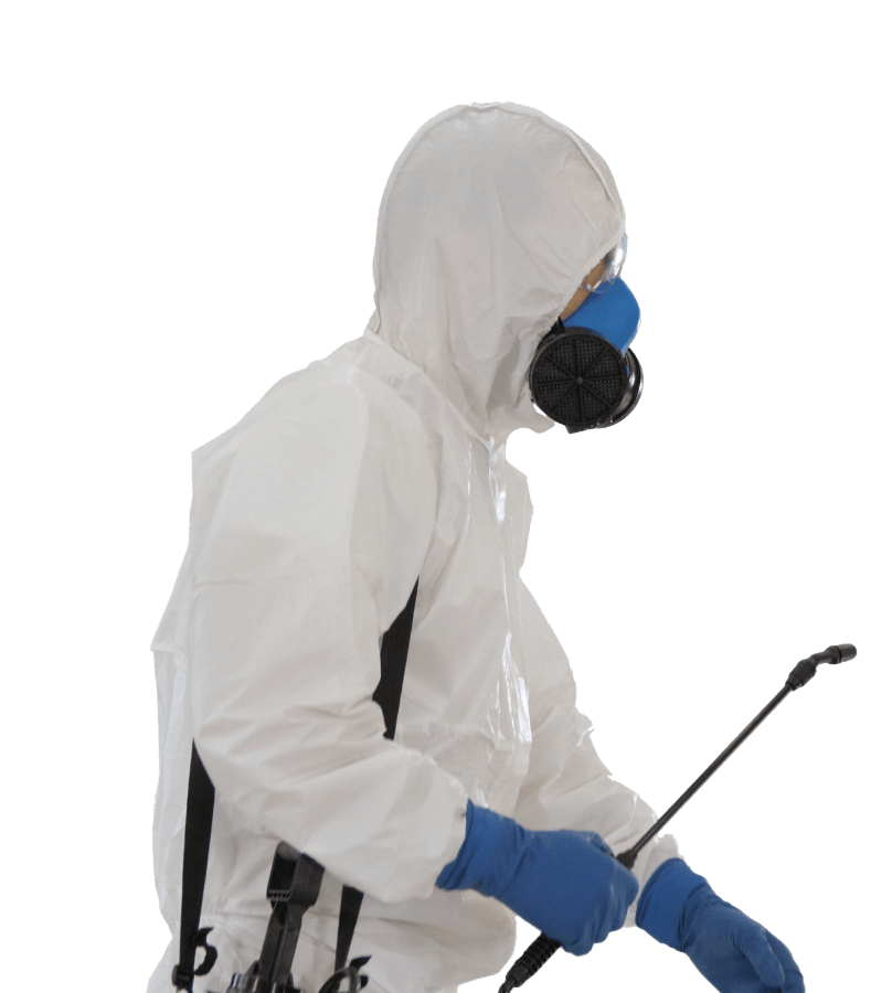 WOW Pest Control Services in Edmonton Alberta, CA